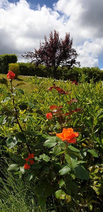 Bed and Breakfast Ca Rosanna Rocca San Felice Exteriér fotografie